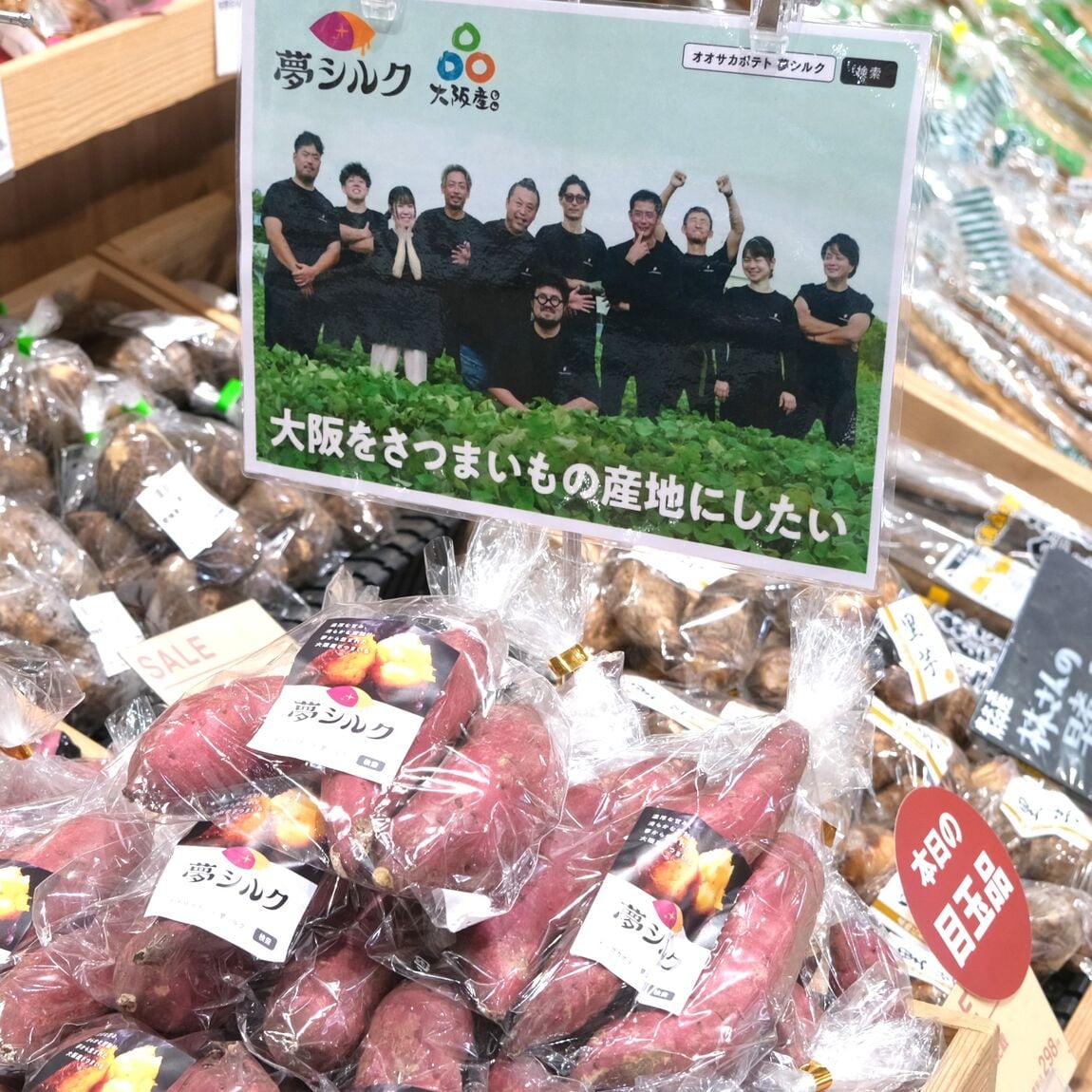 【堺北花田】オオサカポテトの夢シルクが入荷してます｜青果売場_BKl4l2