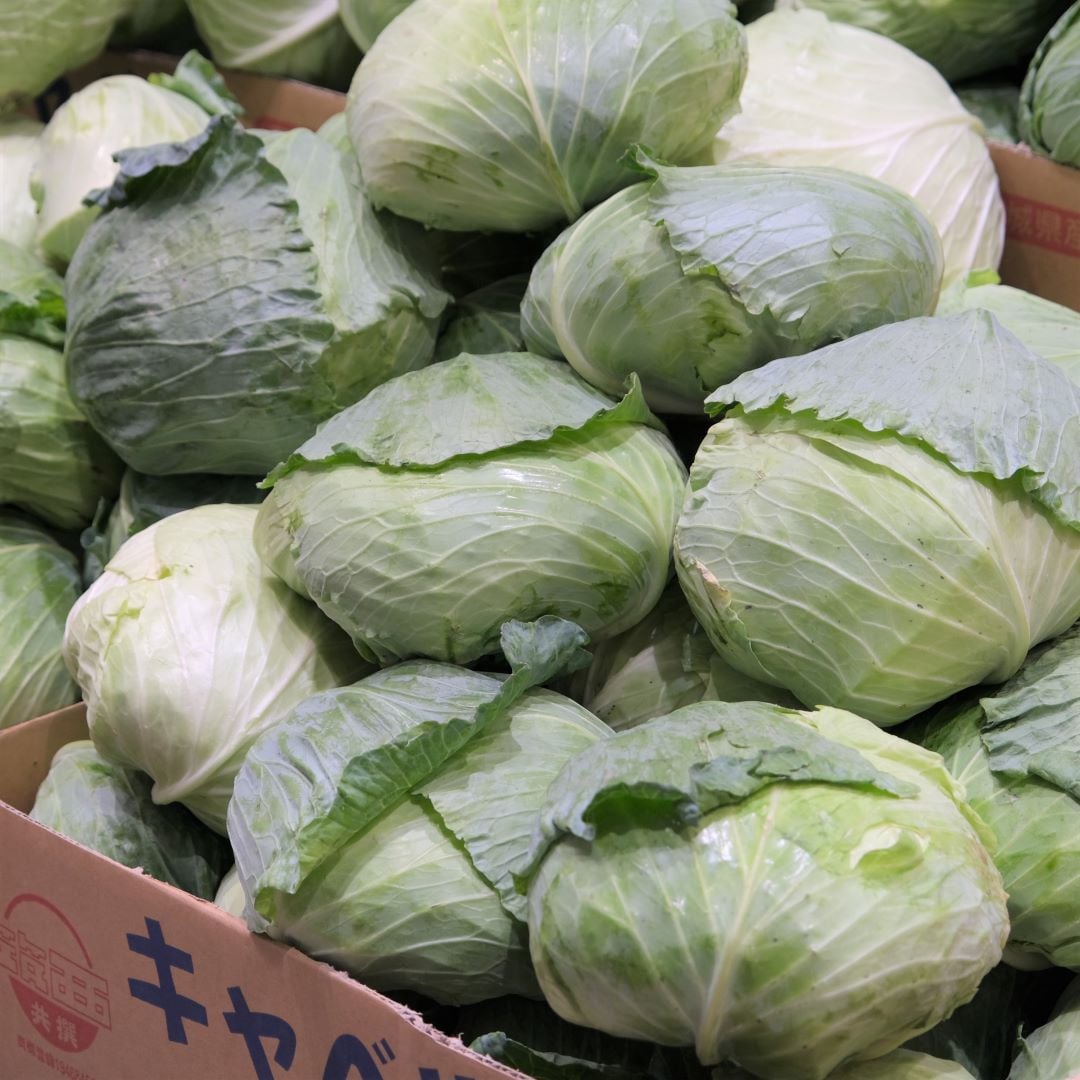 【堺北花田】林田商店さんの市場まつり開催中｜青果売場から