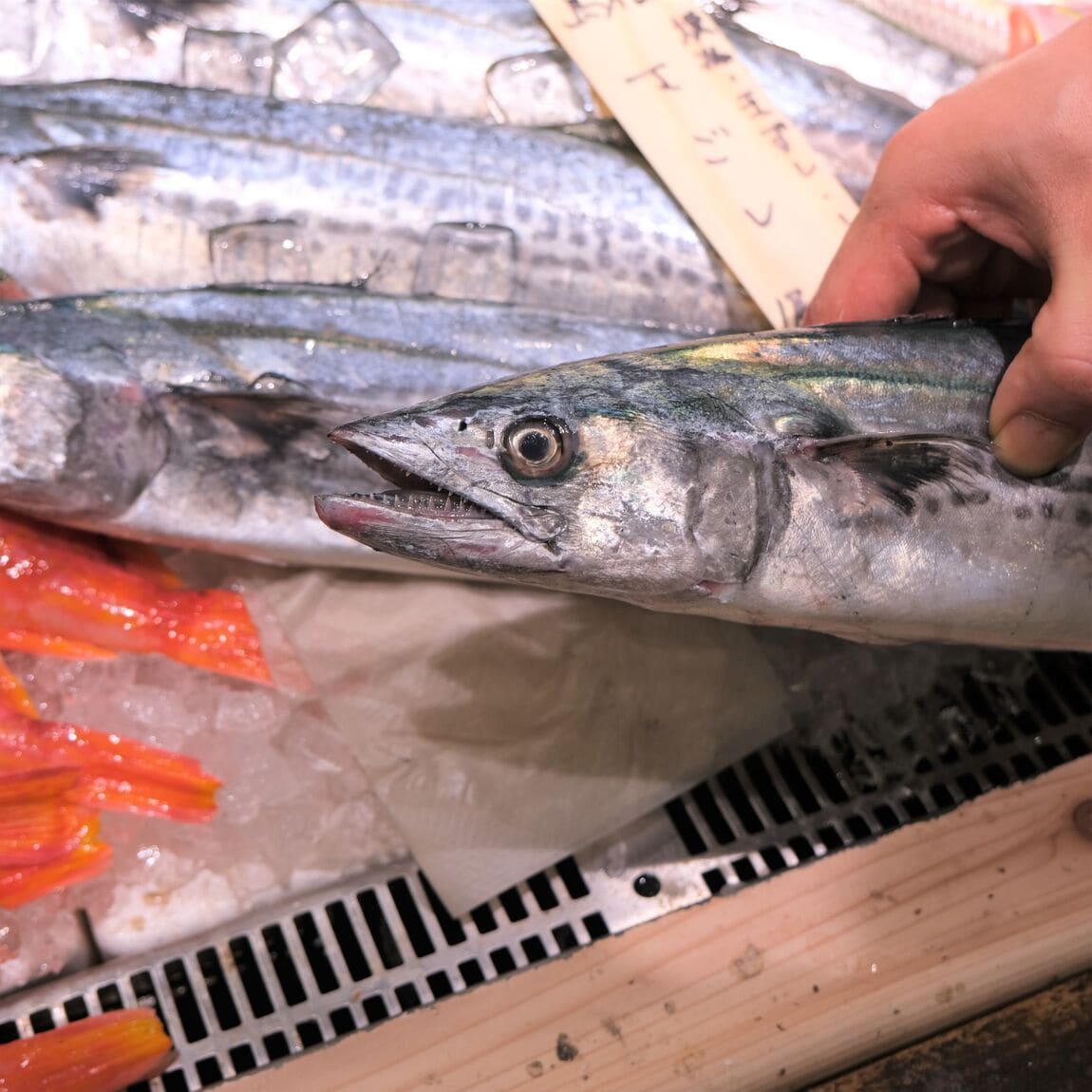【堺北花田】今日のおすすめは『さわら』｜鮮魚売場から
