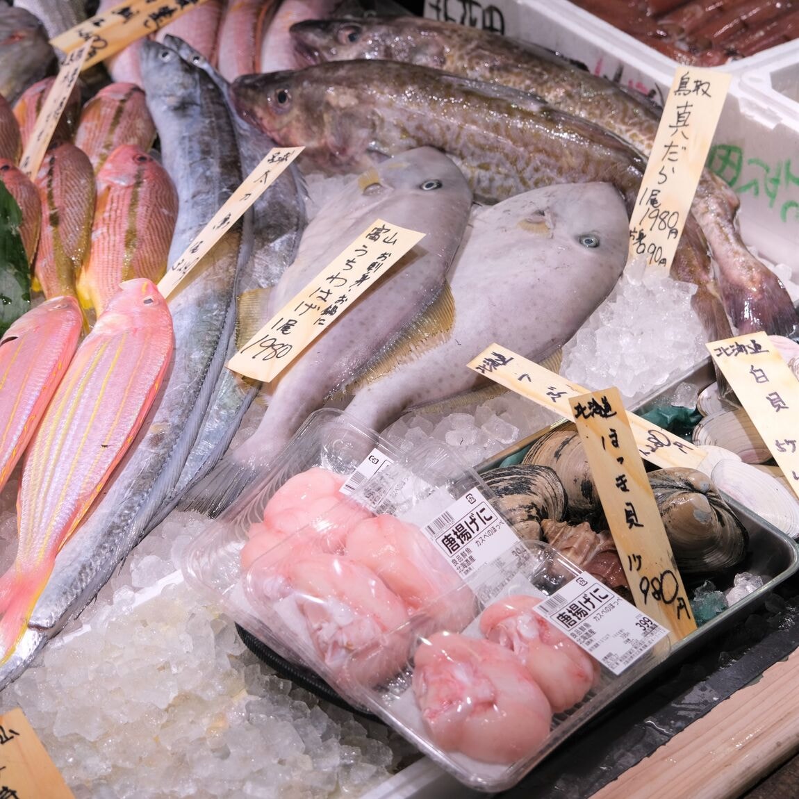【堺北花田】今日のおすすめは『さわら』｜鮮魚売場から