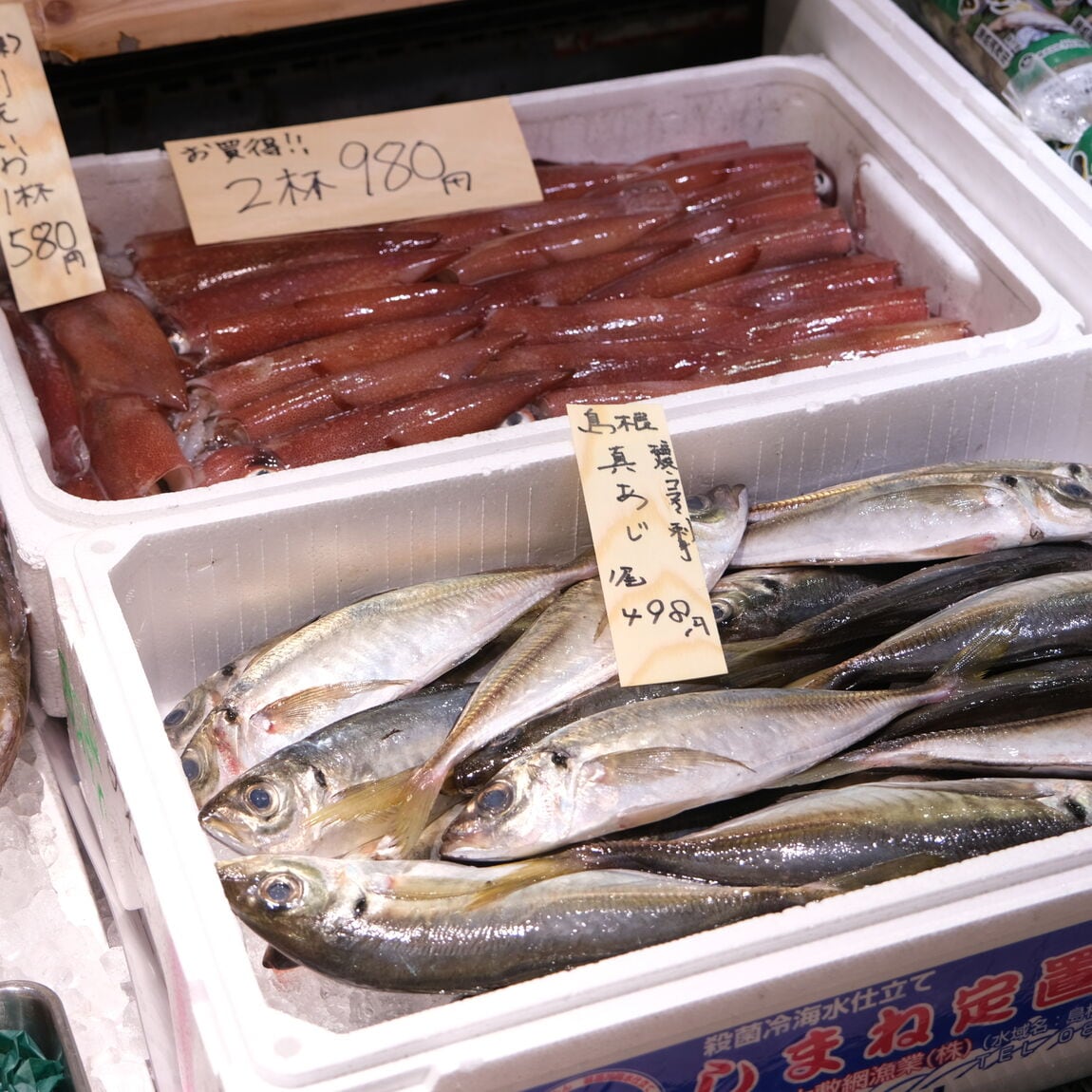 【堺北花田】今日のおすすめは『さわら』｜鮮魚売場から