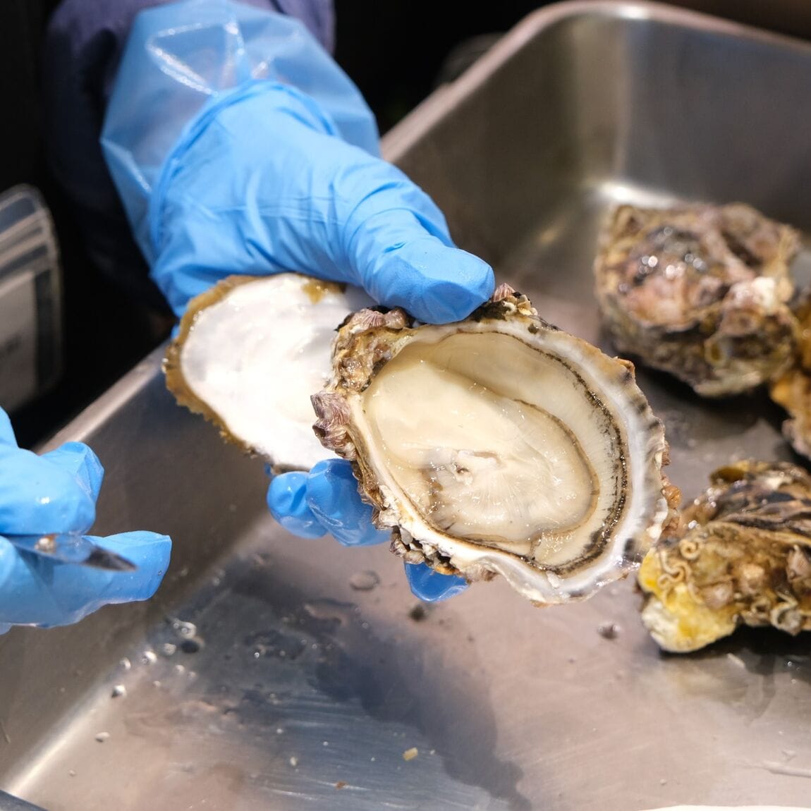 【堺北花田】今日のおすすめは『殻付き生牡蠣 宮島』｜鮮魚売場から