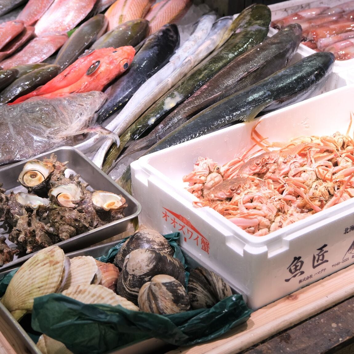 【堺北花田】今日のおすすめは『殻付き生牡蠣 宮島』｜鮮魚売場から