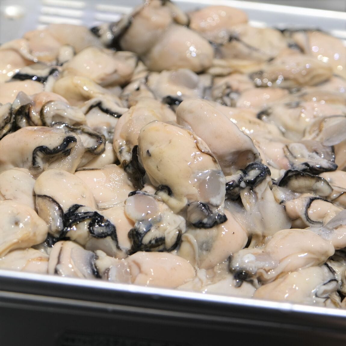 【堺北花田】今日のおすすめは『殻付き生牡蠣 宮島』｜鮮魚売場から