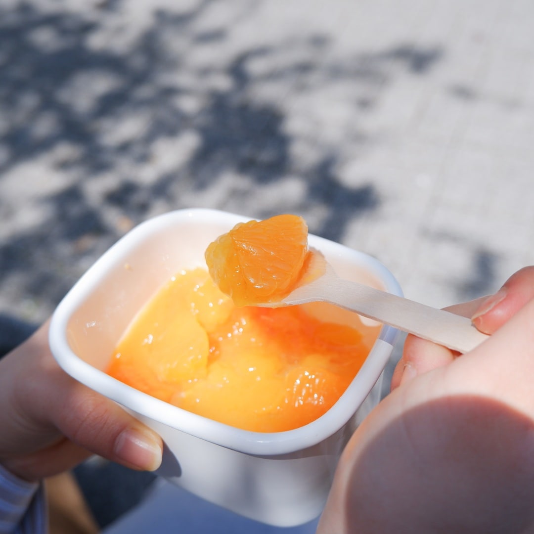 【京都山科】お弁当にはこれ詰めて！レシピ5選｜キッチンカウンター