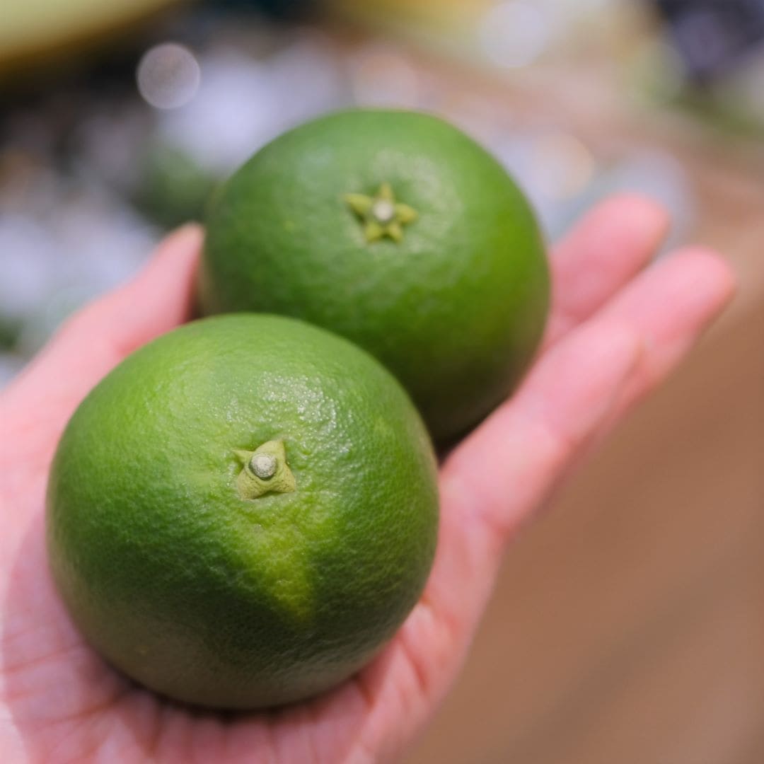 【堺北花田】吉原さんのかぼすが入荷しました｜青果売場から