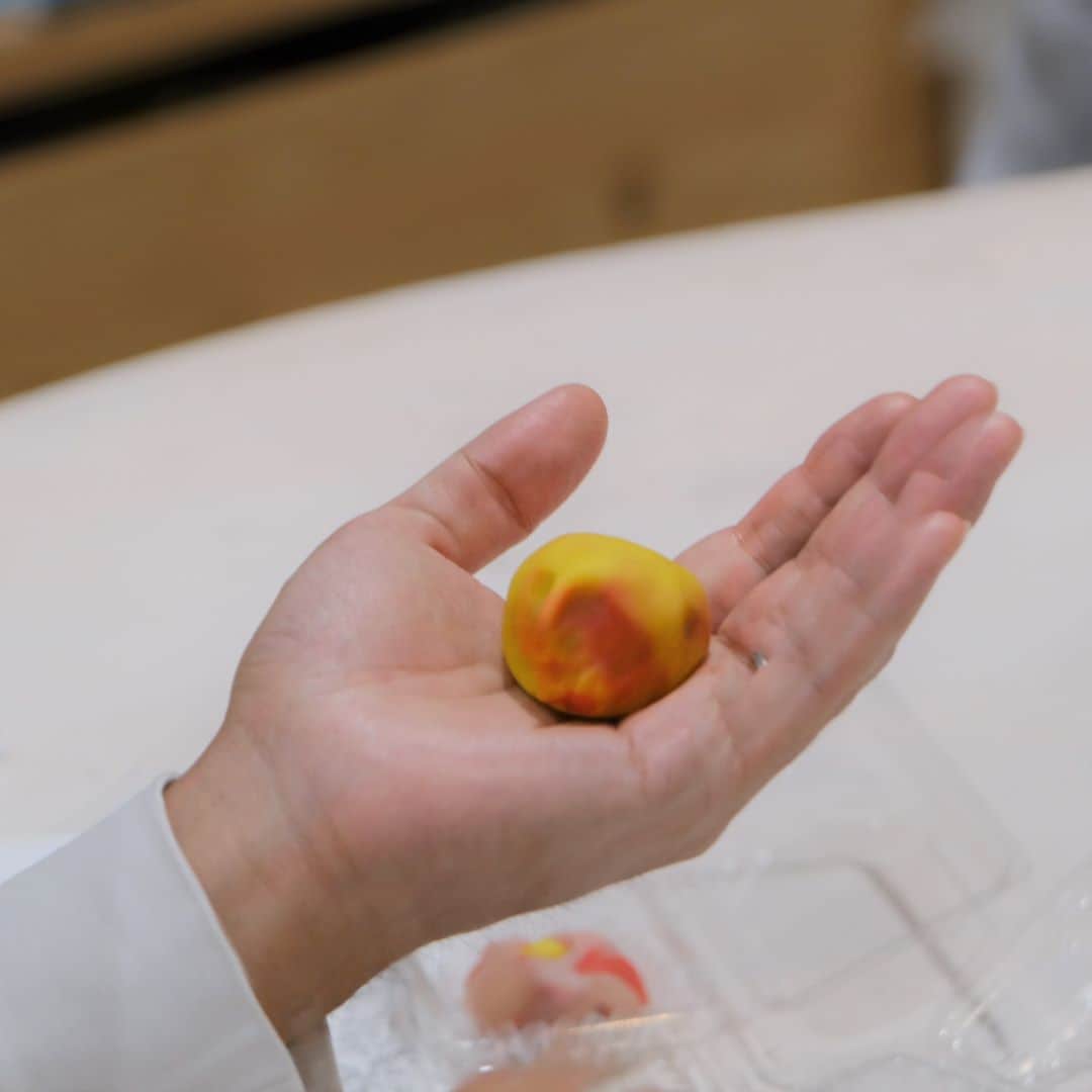 【堺北花田】和菓子づくりのワークショップを開催しました｜イベントレポート