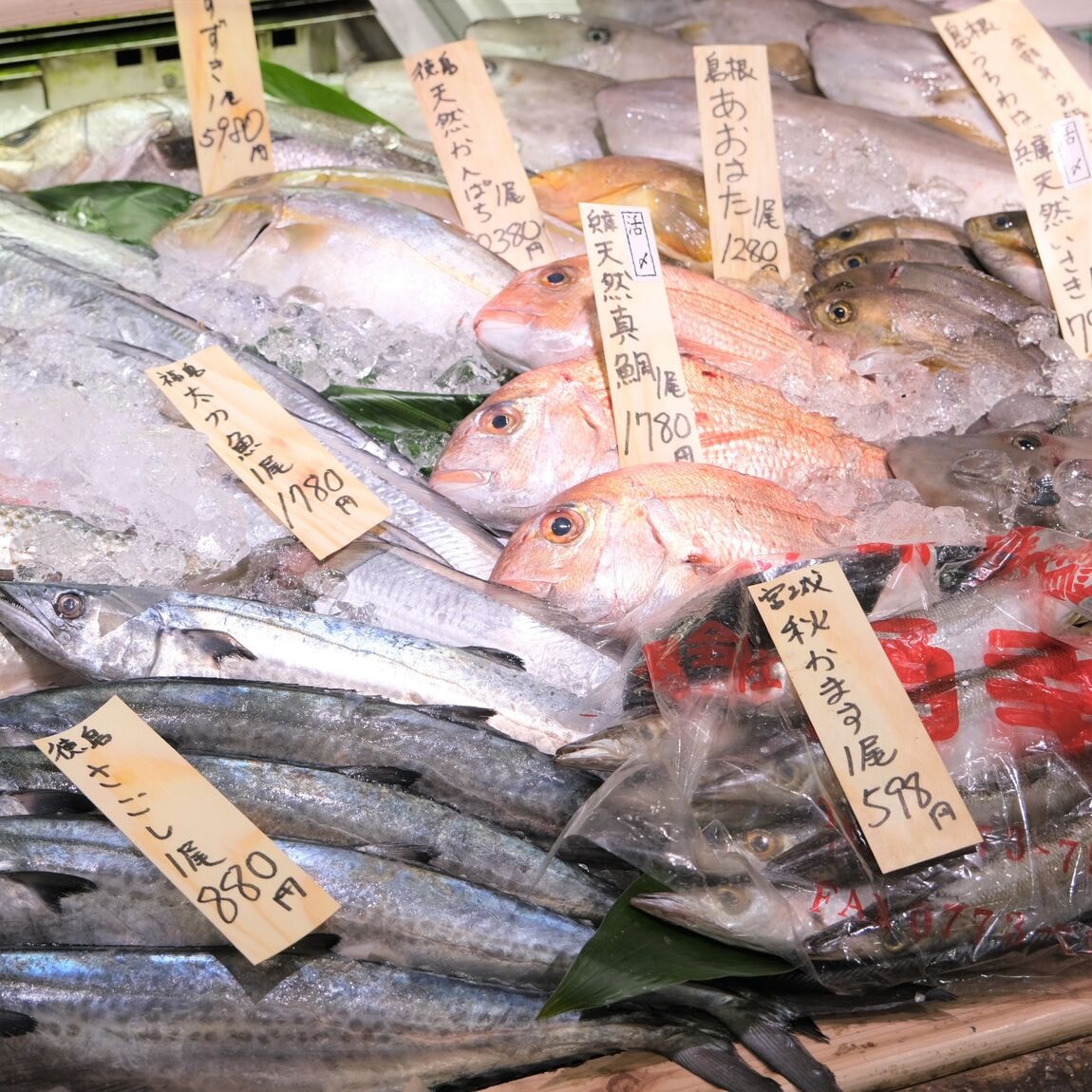 【堺北花田】今日のおすすめは『松葉がに』『勢子がに』｜鮮魚売場から