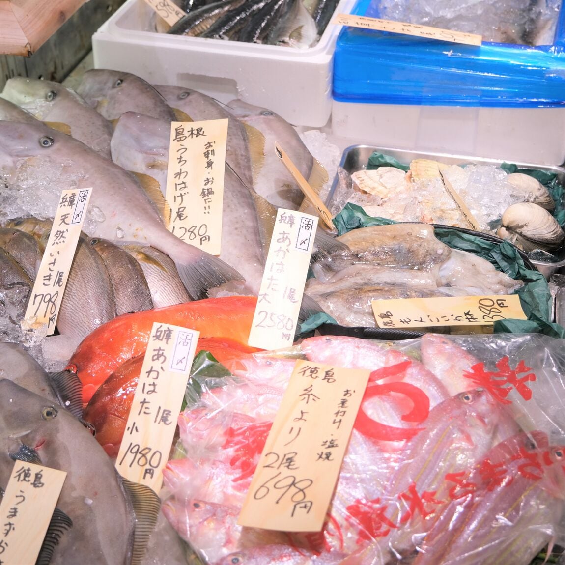 【堺北花田】今日のおすすめは『松葉がに』『勢子がに』｜鮮魚売場から