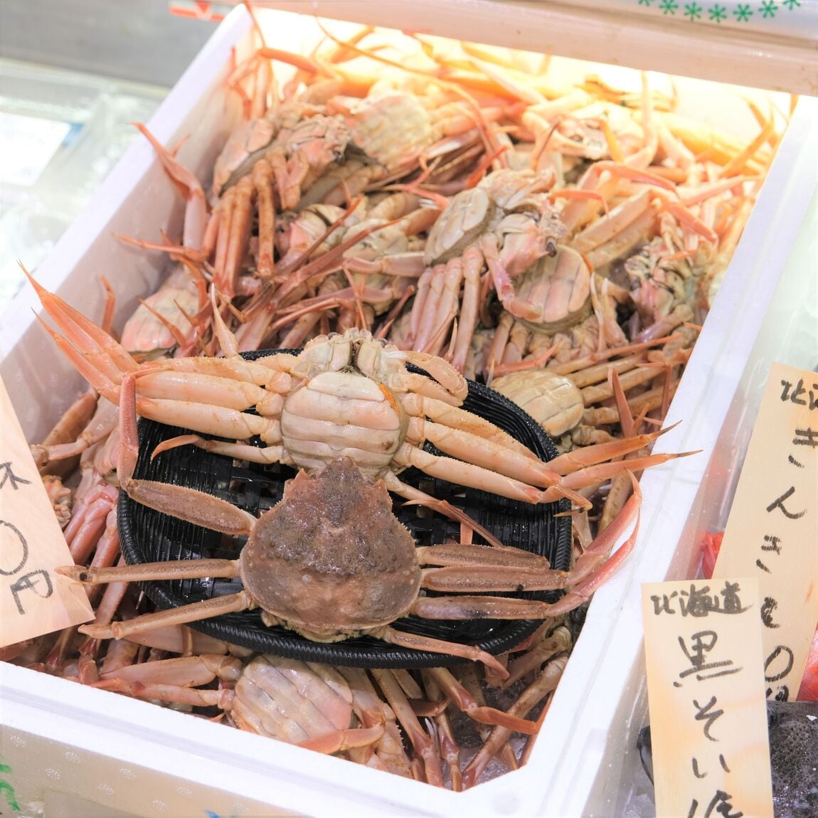 【堺北花田】今日のおすすめは『松葉がに』『勢子がに』｜鮮魚売場から