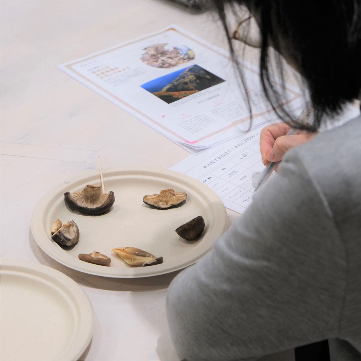 【堺北花田】きのこの秘密を学ぼう｜イベントレポート