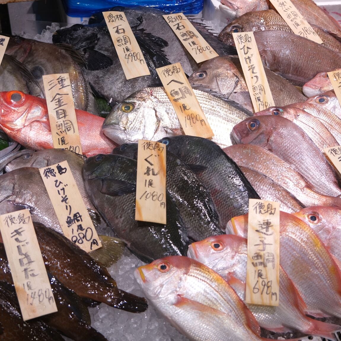 【堺北花田】今日のおすすめは『真あじ』｜鮮魚売場から