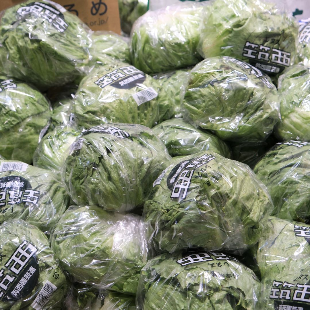 【堺北花田】林田商店さんの市場まつり開催中｜青果売場から