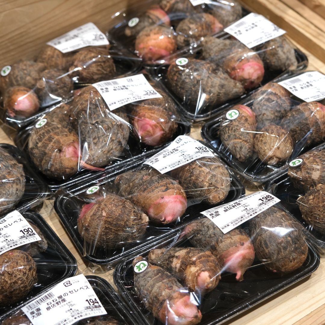 【堺北花田】ねね屋の産直マルシェ開催中｜青果売場から_473ub4