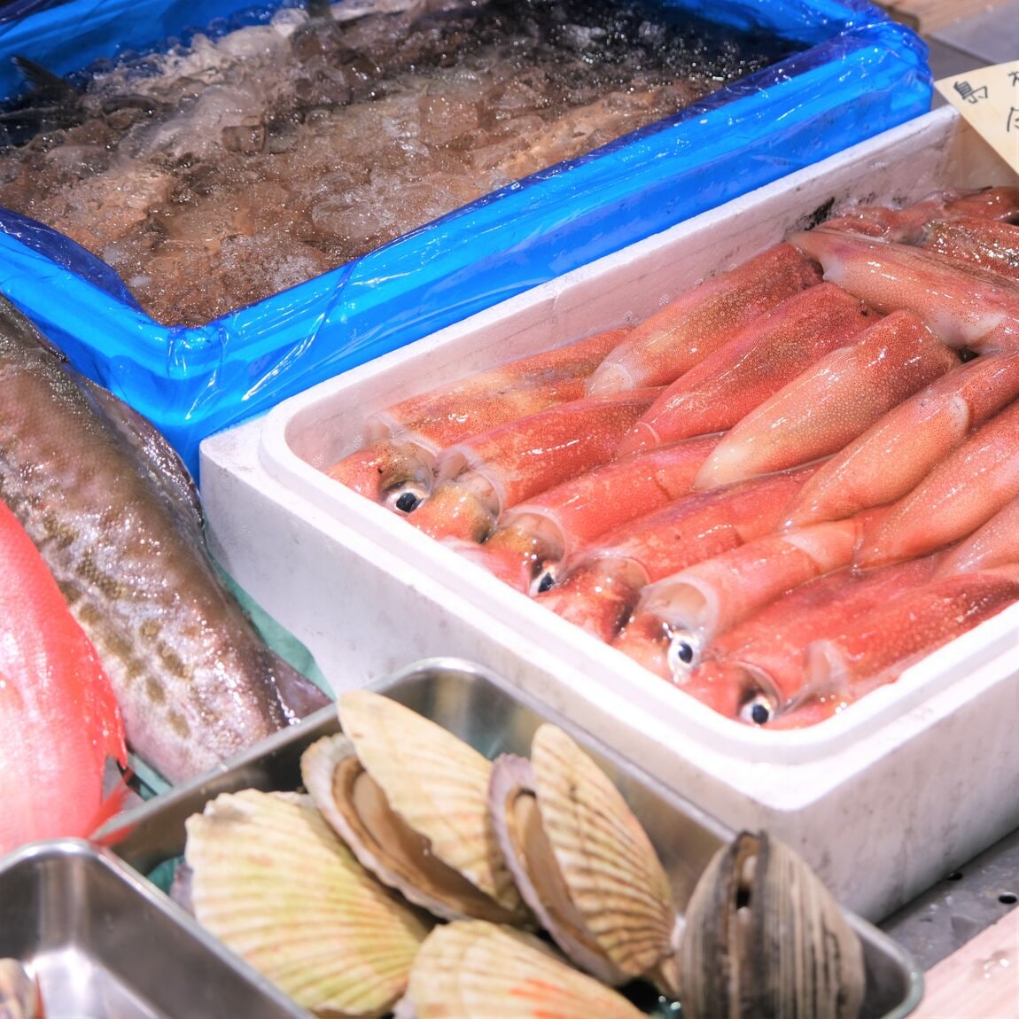  【堺北花田】今日のおすすめは『かます』｜鮮魚売場から