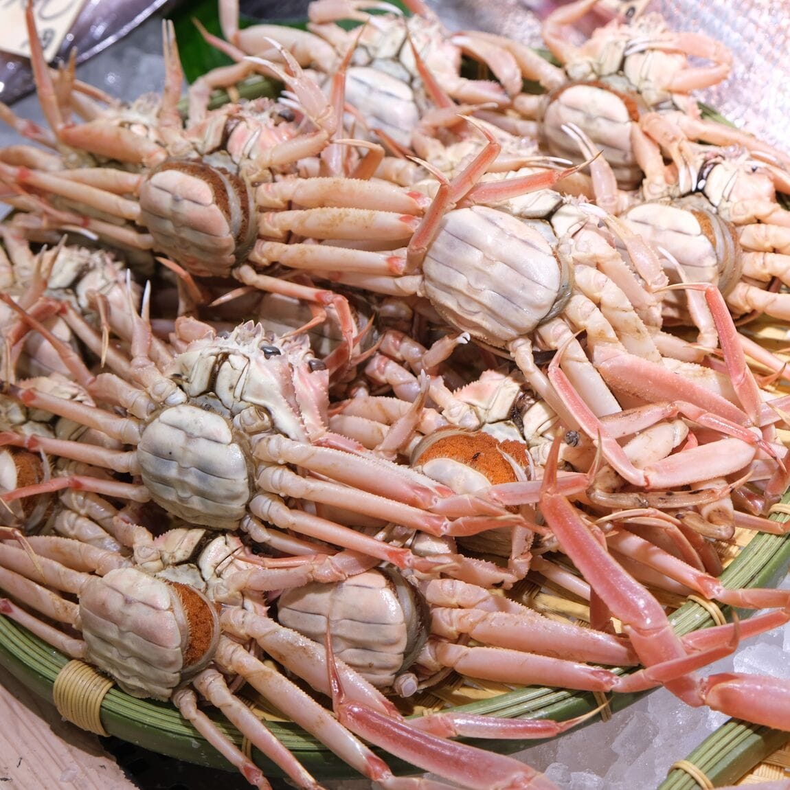  【堺北花田】今日のおすすめは『かます』｜鮮魚売場から