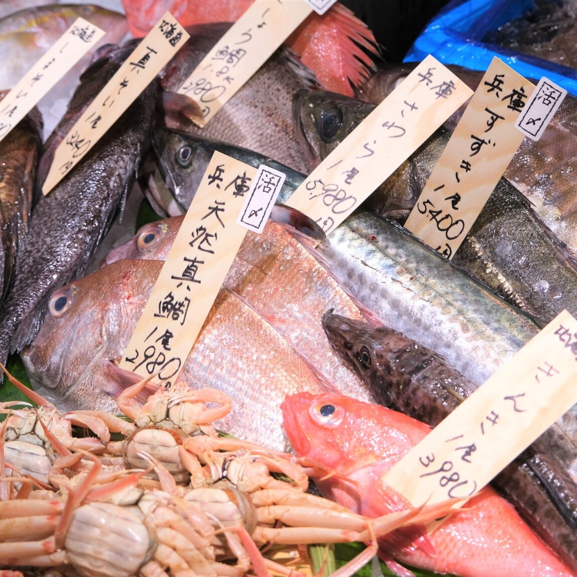  【堺北花田】今日のおすすめは『かます』｜鮮魚売場から