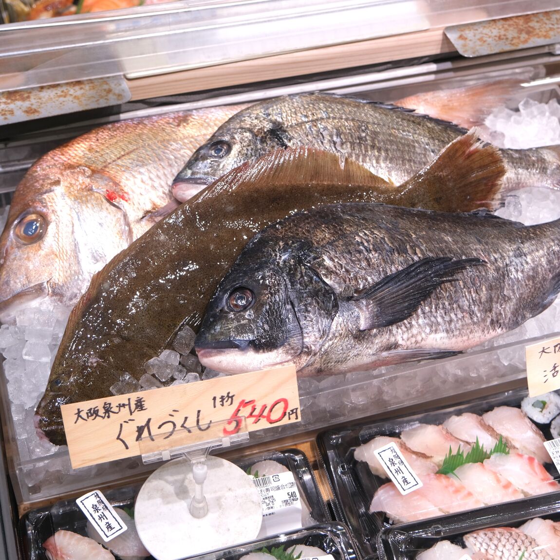 【堺北花田】大阪・泉州のお魚入荷しています｜鮮魚売場から