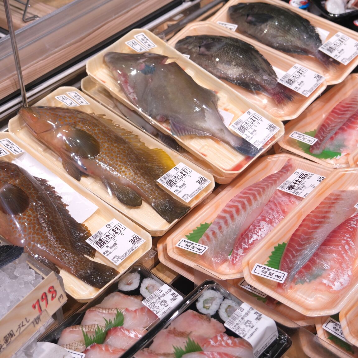 【堺北花田】大阪・泉州のお魚入荷しています｜鮮魚売場から