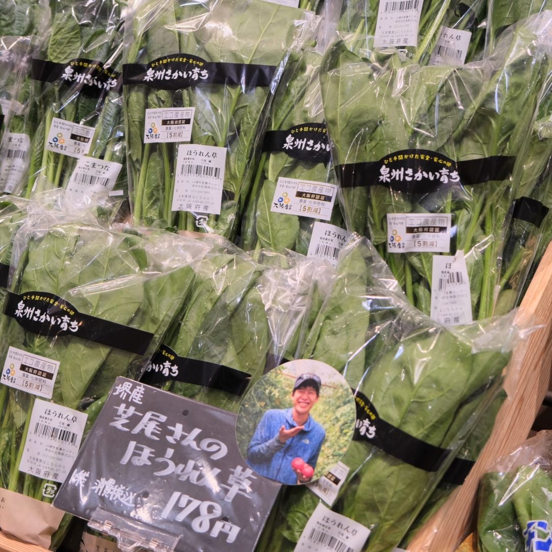 【堺北花田】芝尾さんの大根葉が入荷しました｜青果売場から
