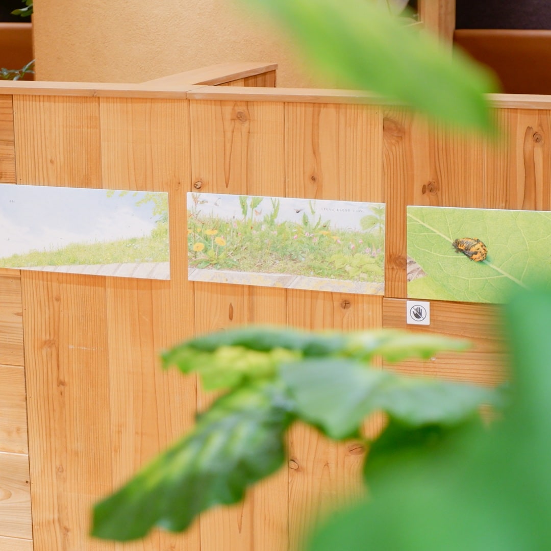 【京都山科】『はっぱのうえに』パネル展開催中です｜お知らせ