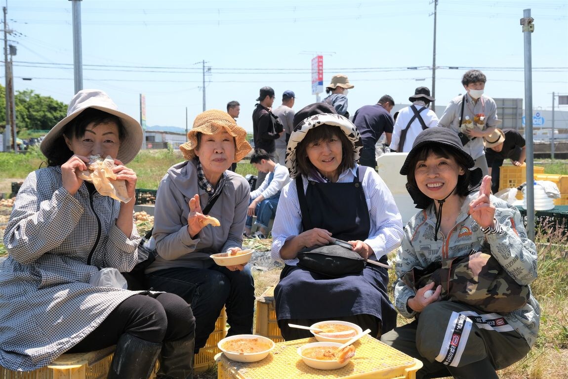 【堺北花田】泉州黄玉ねぎを収穫しました