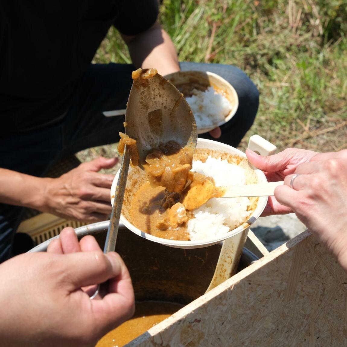 【堺北花田】泉州黄玉ねぎを収穫しました