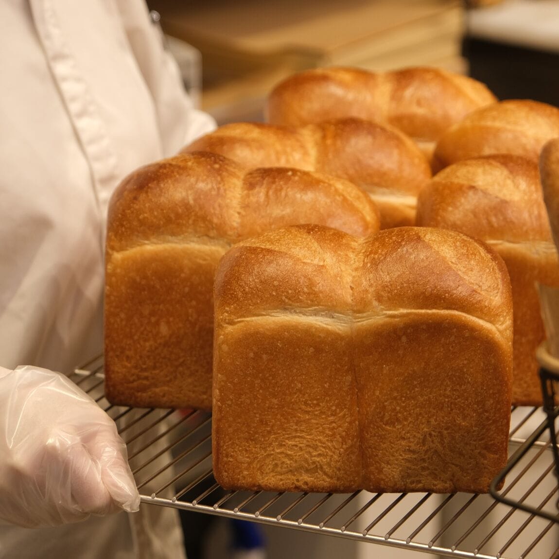 【堺北花田】お店まるごとポイント5倍｜GOOD POINT WEEK開催します