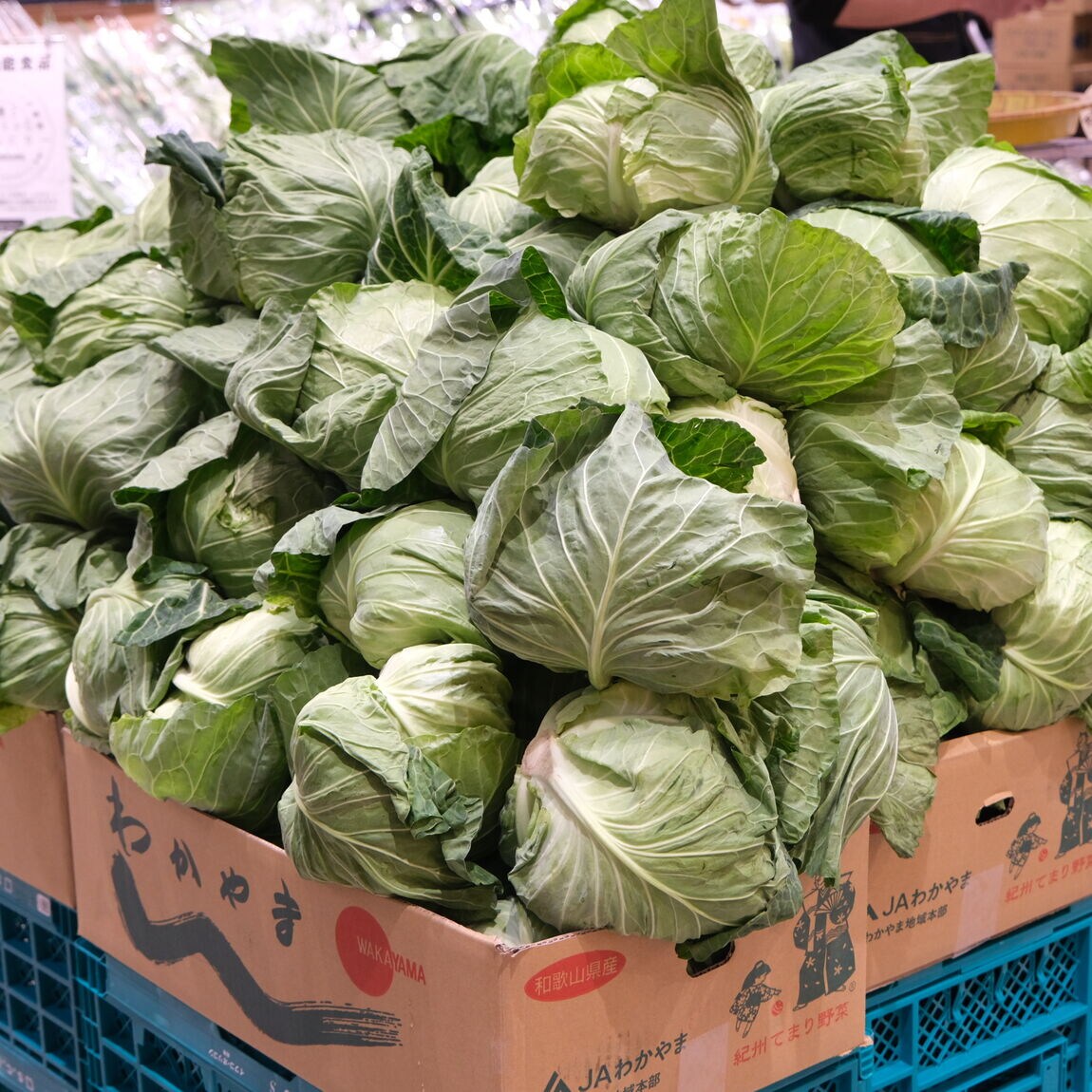 【堺北花田】林田商店さんの市場まつり開催中｜青果売場から