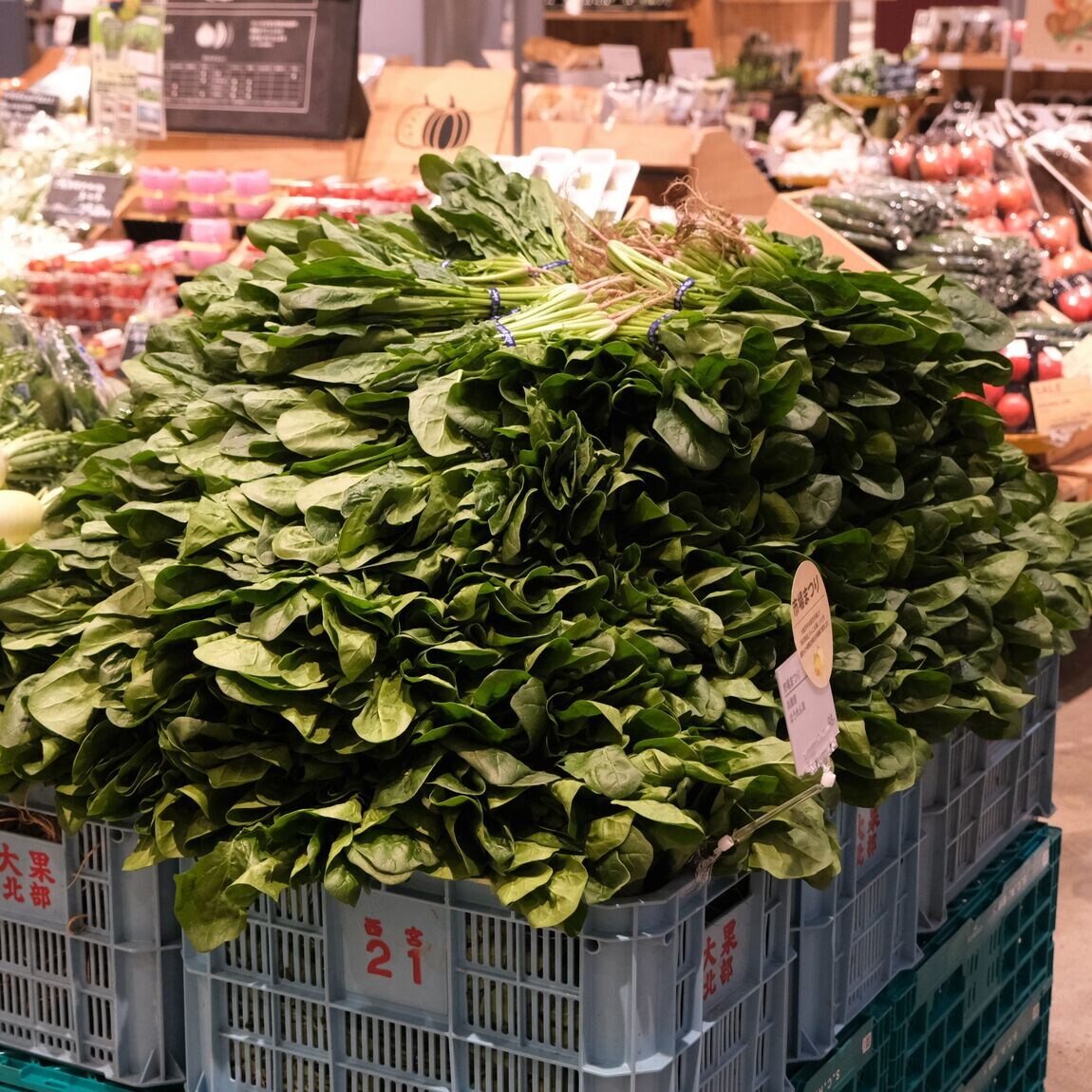 【堺北花田】林田商店さんの市場まつり開催中｜青果売場から