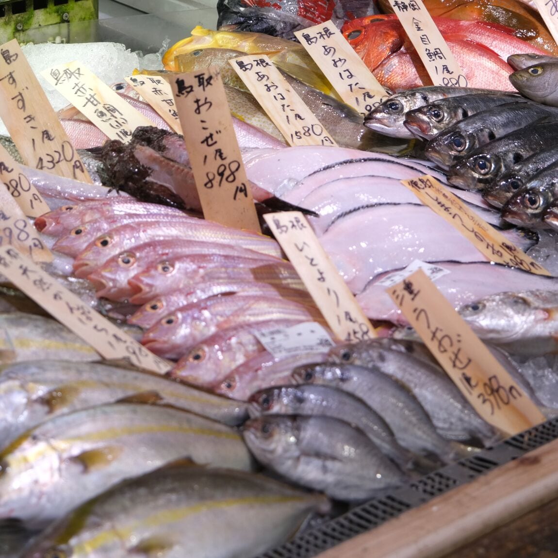 【堺北花田】今日のおすすめは『太刀魚』｜鮮魚売場から_4yqNSc