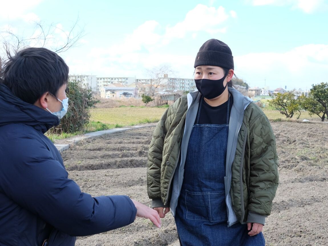 【堺北花田】泉州黄玉ねぎ、成長しています｜産地を訪ねて