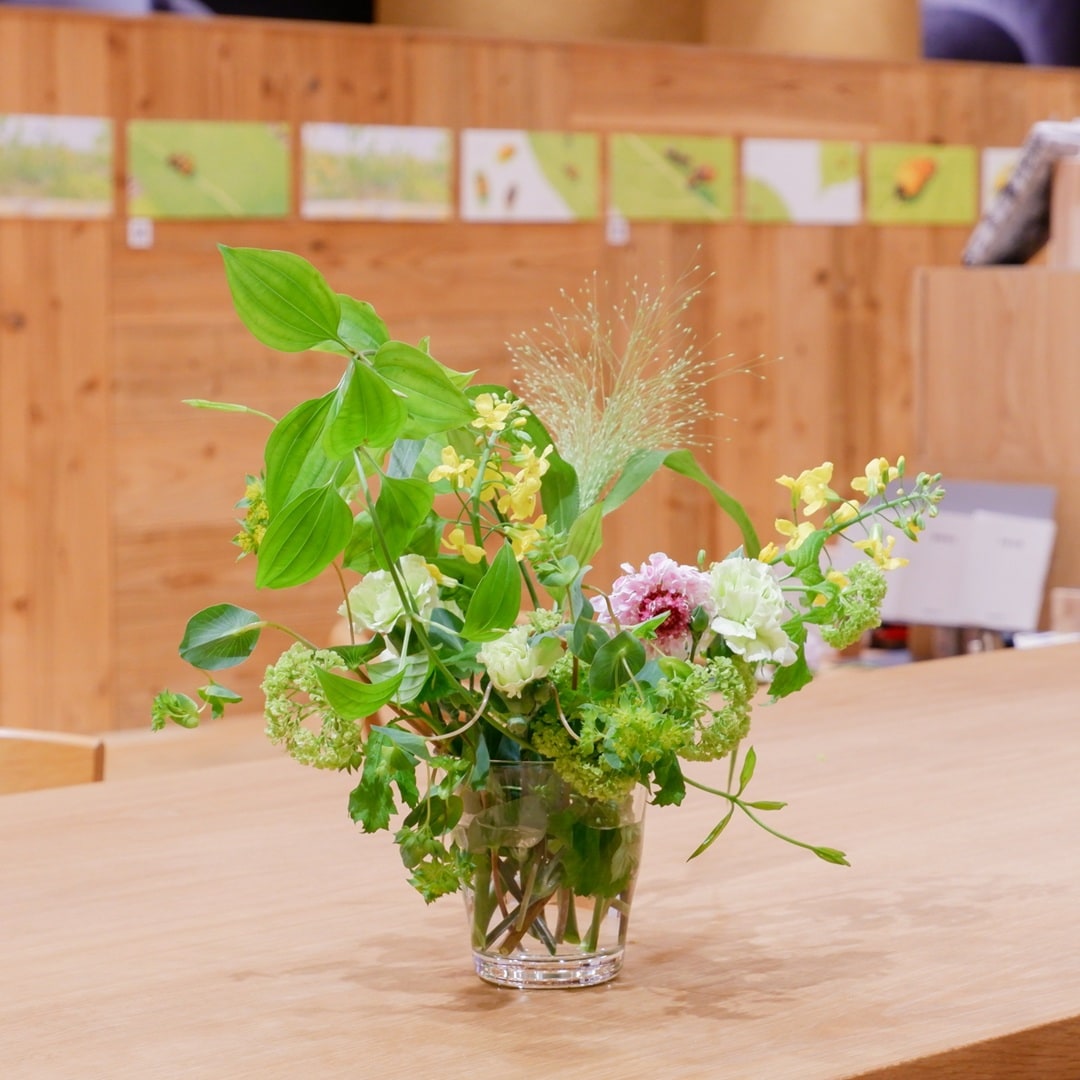 【京都山科】はる、はる、はる｜イベントレポート