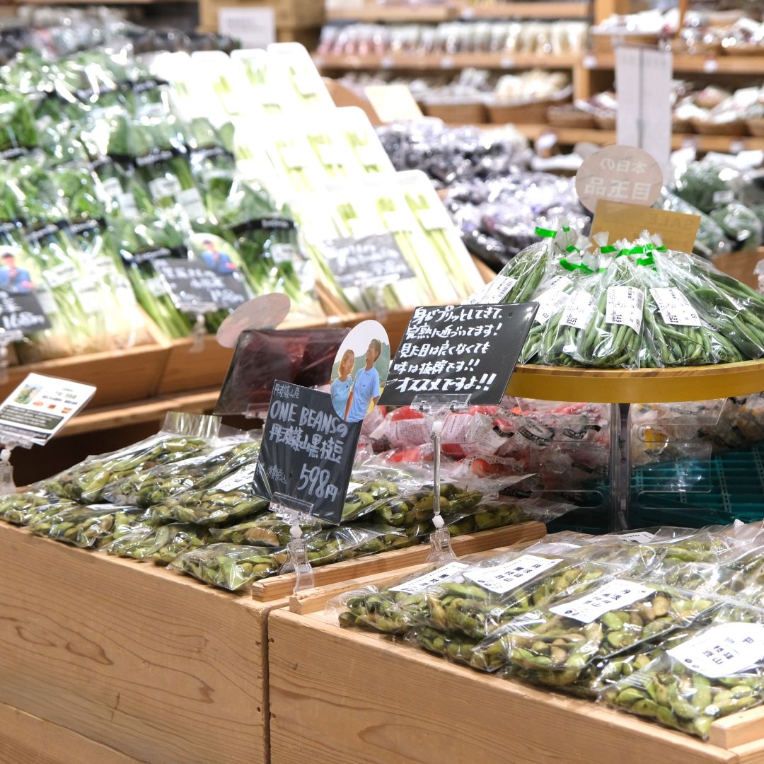 【堺北花田】ONE BEANSさんの丹波篠山黒枝豆が入荷しています｜青果売場から_v77GWm