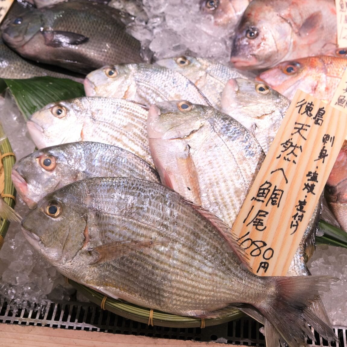 【堺北花田】今日のおすすめは『天然へ鯛』｜鮮魚売場から