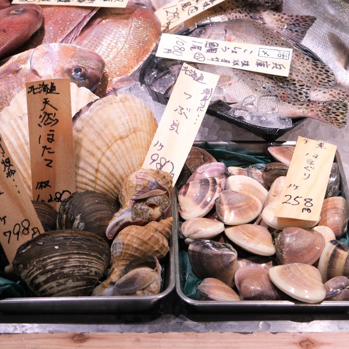 【堺北花田】今日のおすすめは『天然へ鯛』｜鮮魚売場から