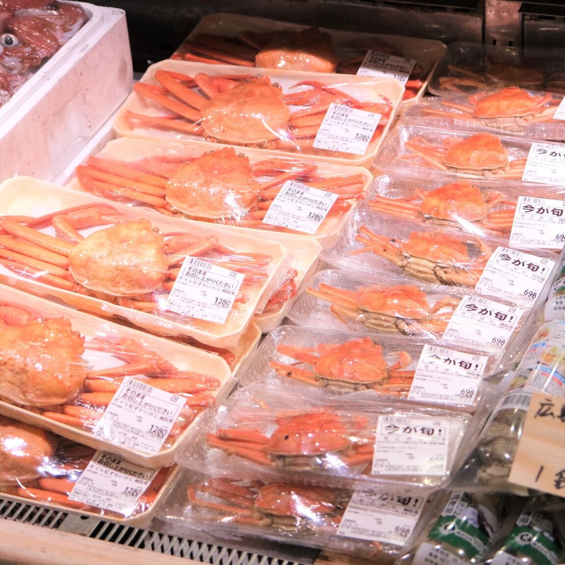 【堺北花田】今日のおすすめは『天然へ鯛』｜鮮魚売場から