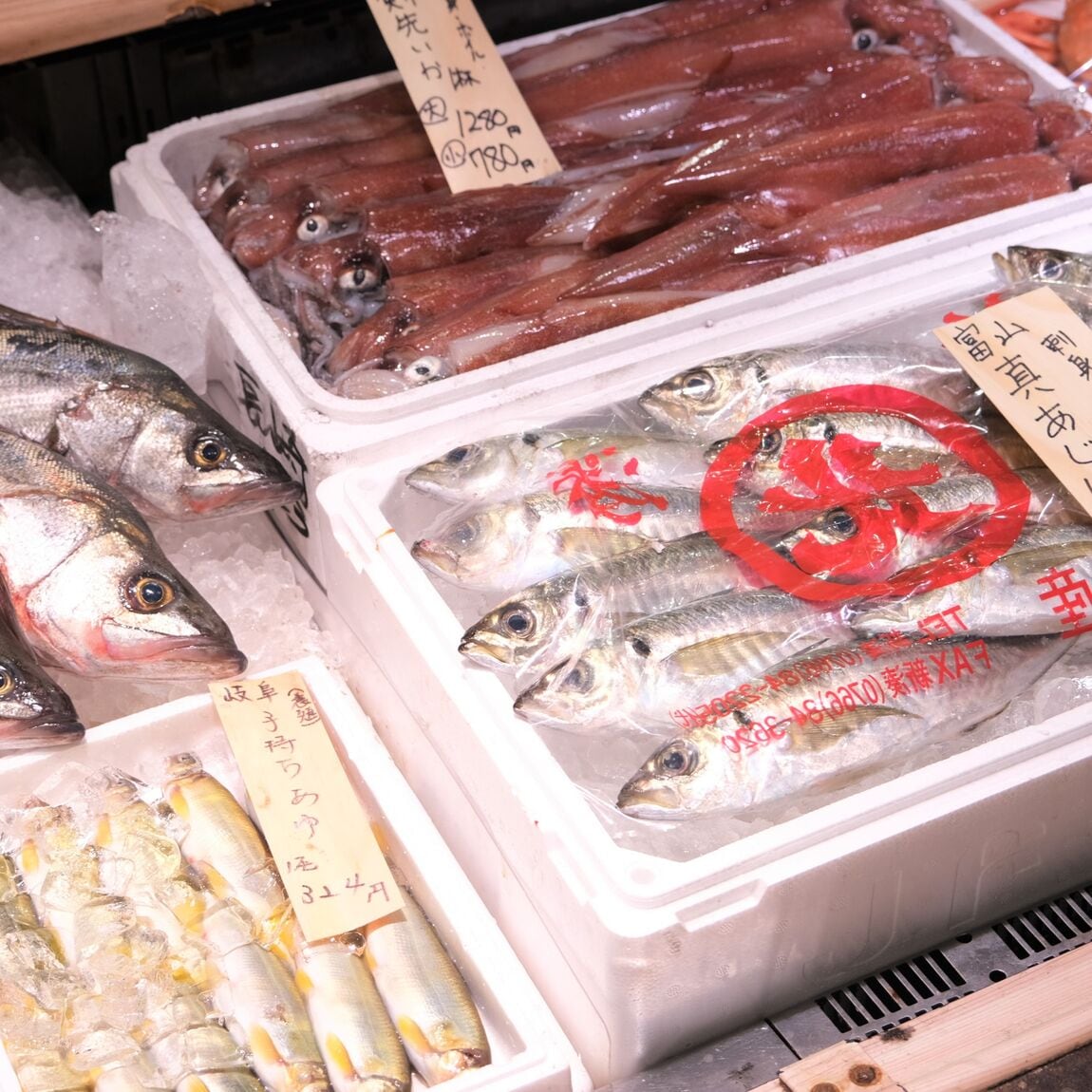 【堺北花田】今日のおすすめは『天然へ鯛』｜鮮魚売場から
