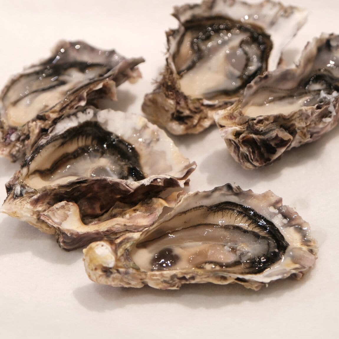 【堺北花田】かなわの殻付牡蠣、販売中です｜鮮魚売場から