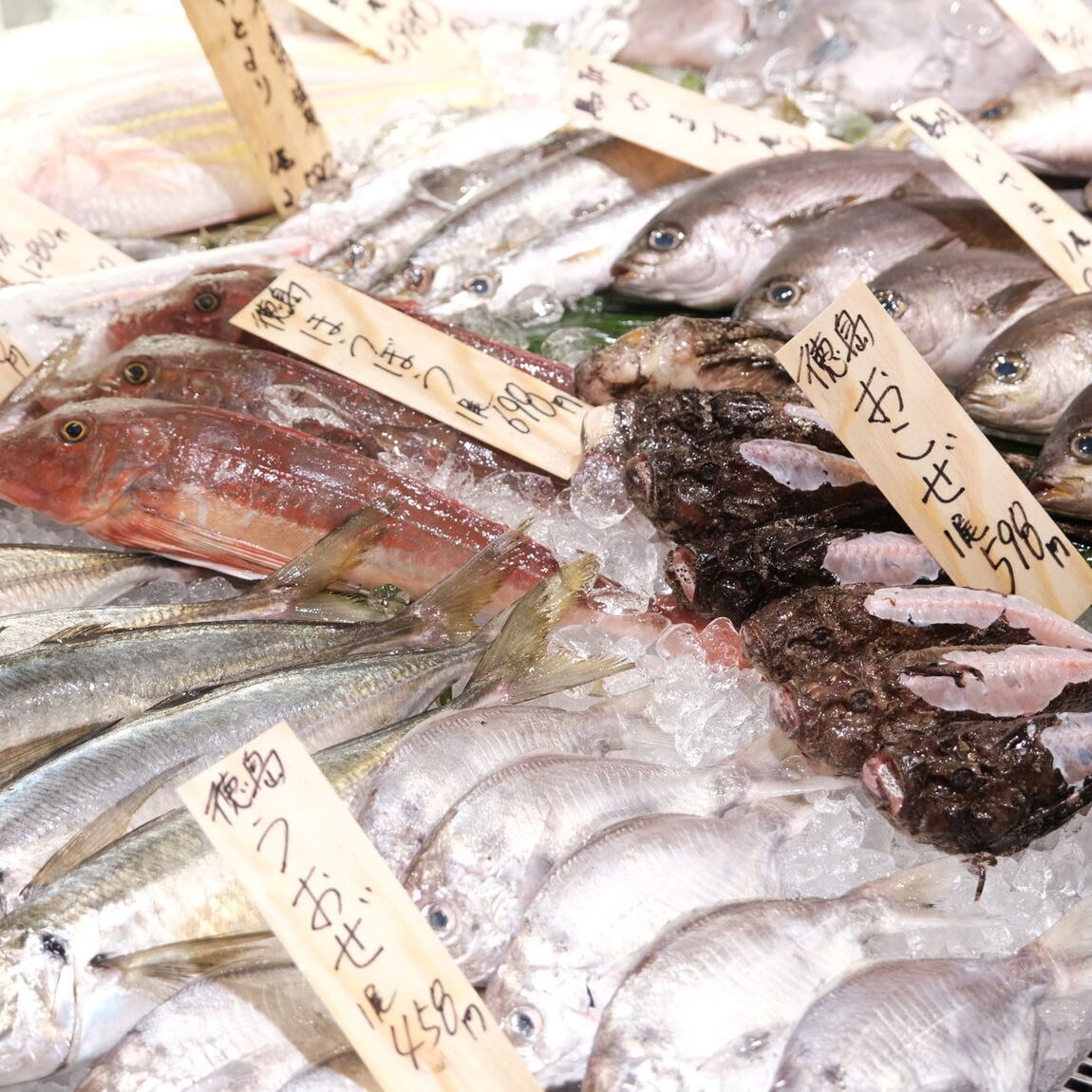 【堺北花田】かなわの殻付牡蠣、販売中です｜鮮魚売場から