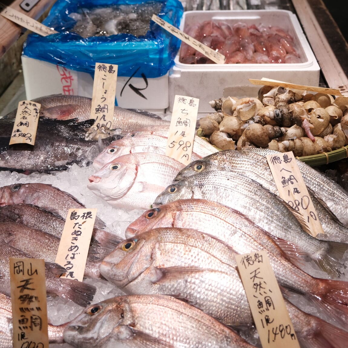 【堺北花田】かなわの殻付牡蠣、販売中です｜鮮魚売場から