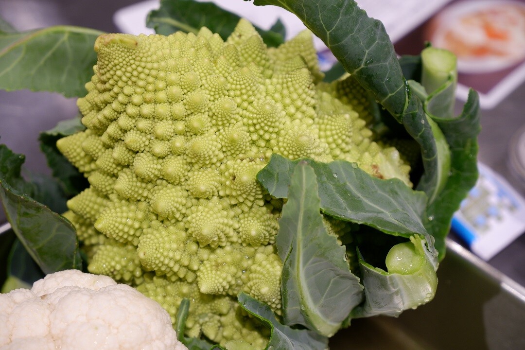 【京都山科】食べなれない野菜にチャレンジ｜いっしょにつくろう