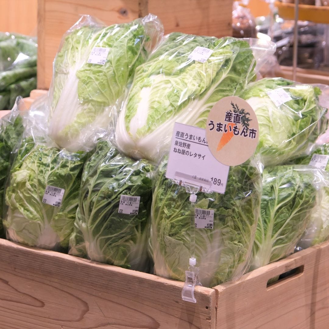 【堺北花田】産直うまいもん市開催中｜青果売場から