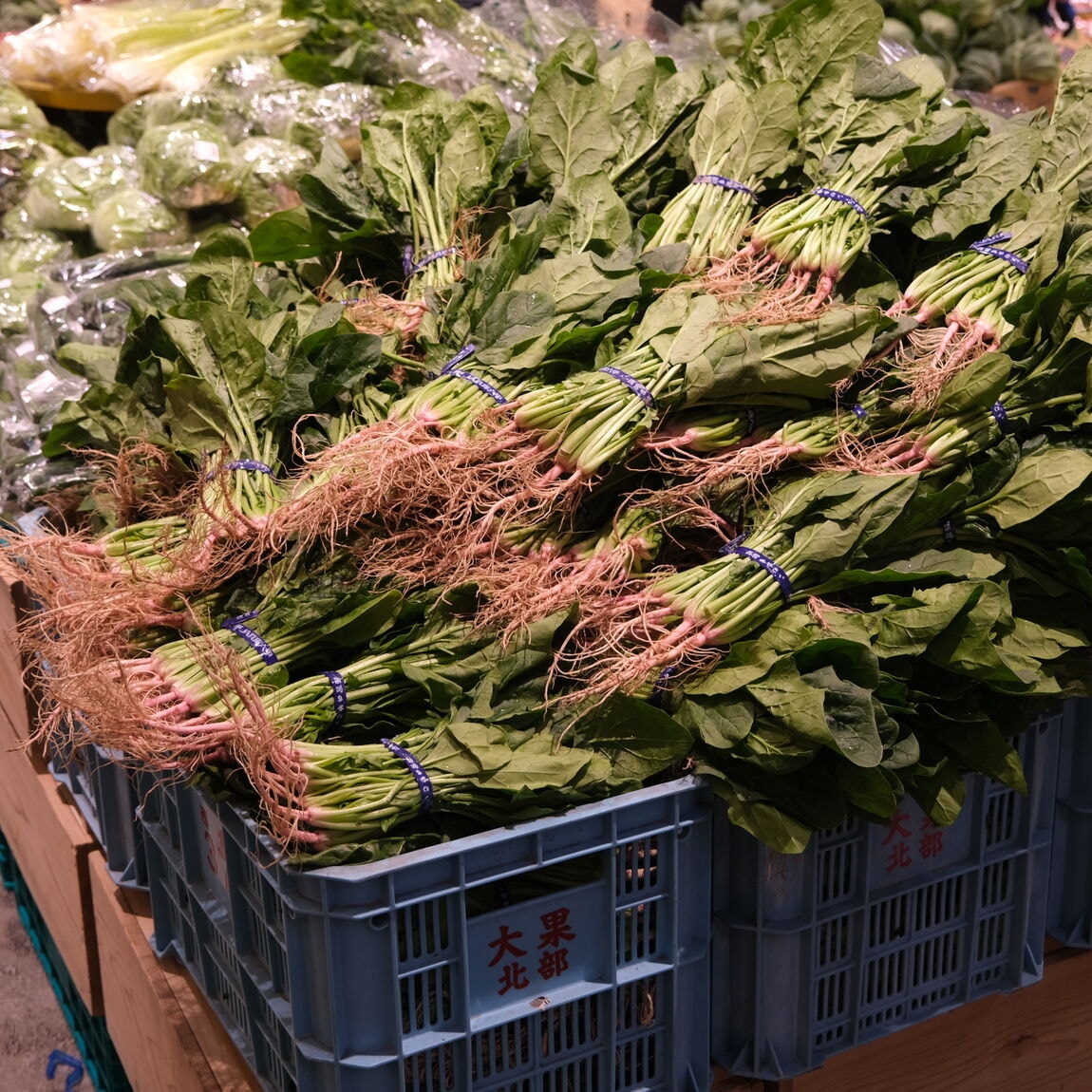 【堺北花田】林田商店さんの市場まつり開催中｜青果売場から