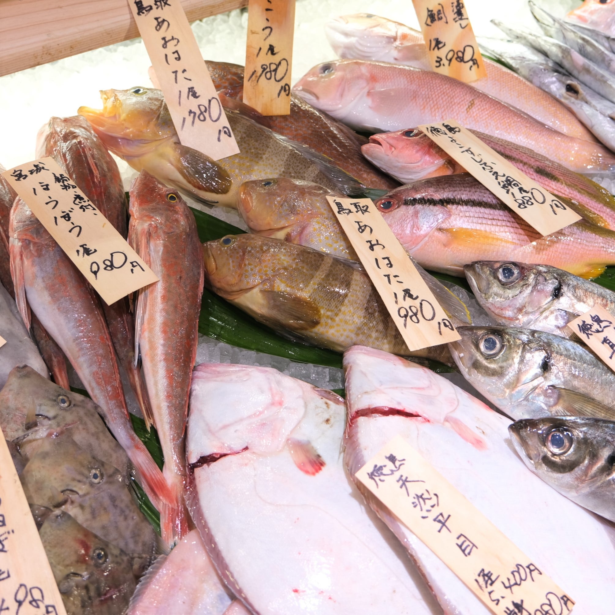 【堺北花田】今日のおすすめは『金目鯛』｜鮮魚売場から