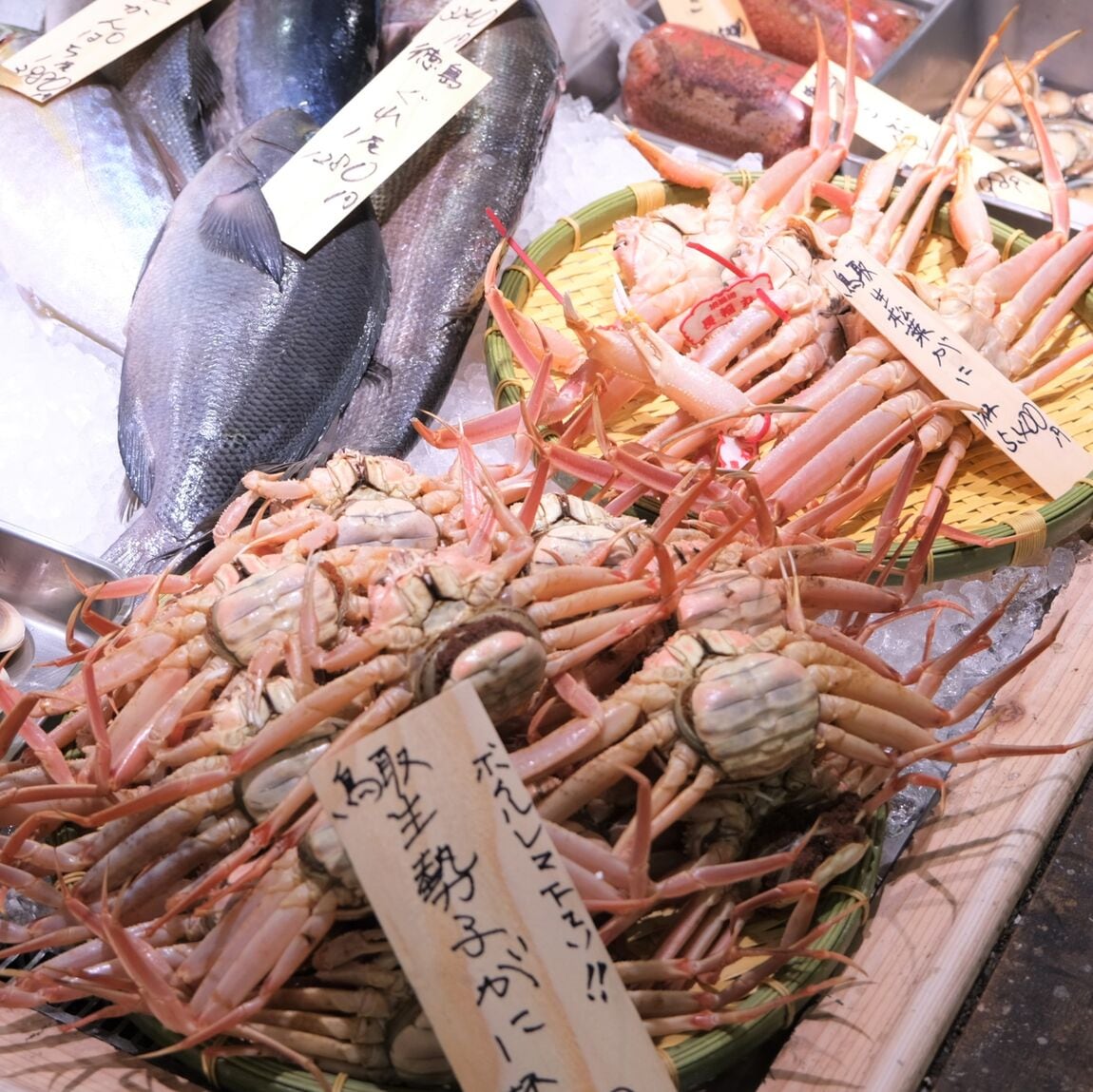 【堺北花田】今日のおすすめは『金目鯛』｜鮮魚売場から