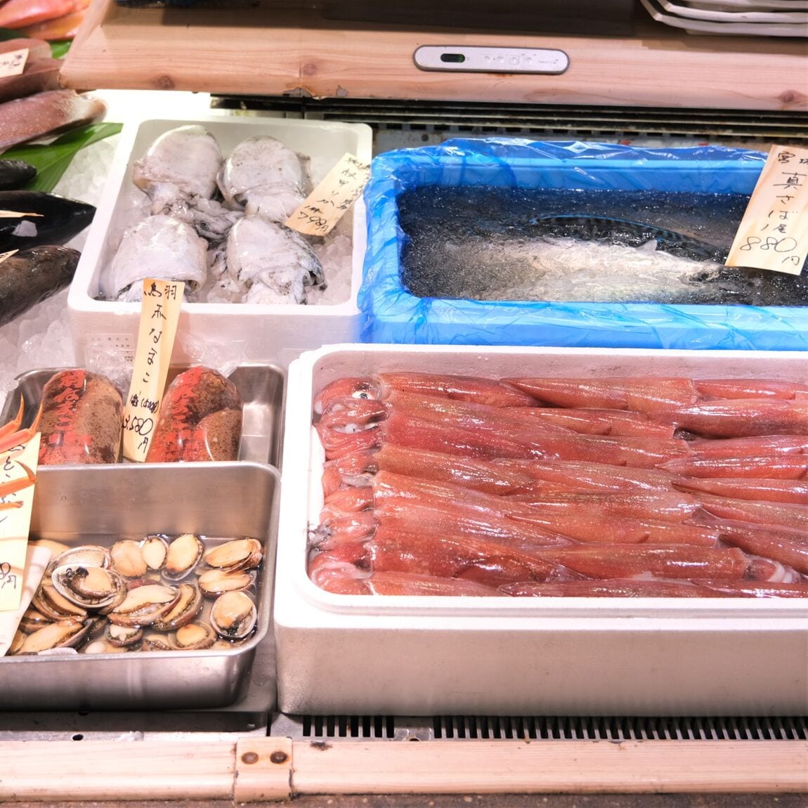 【堺北花田】今日のおすすめは『金目鯛』｜鮮魚売場から