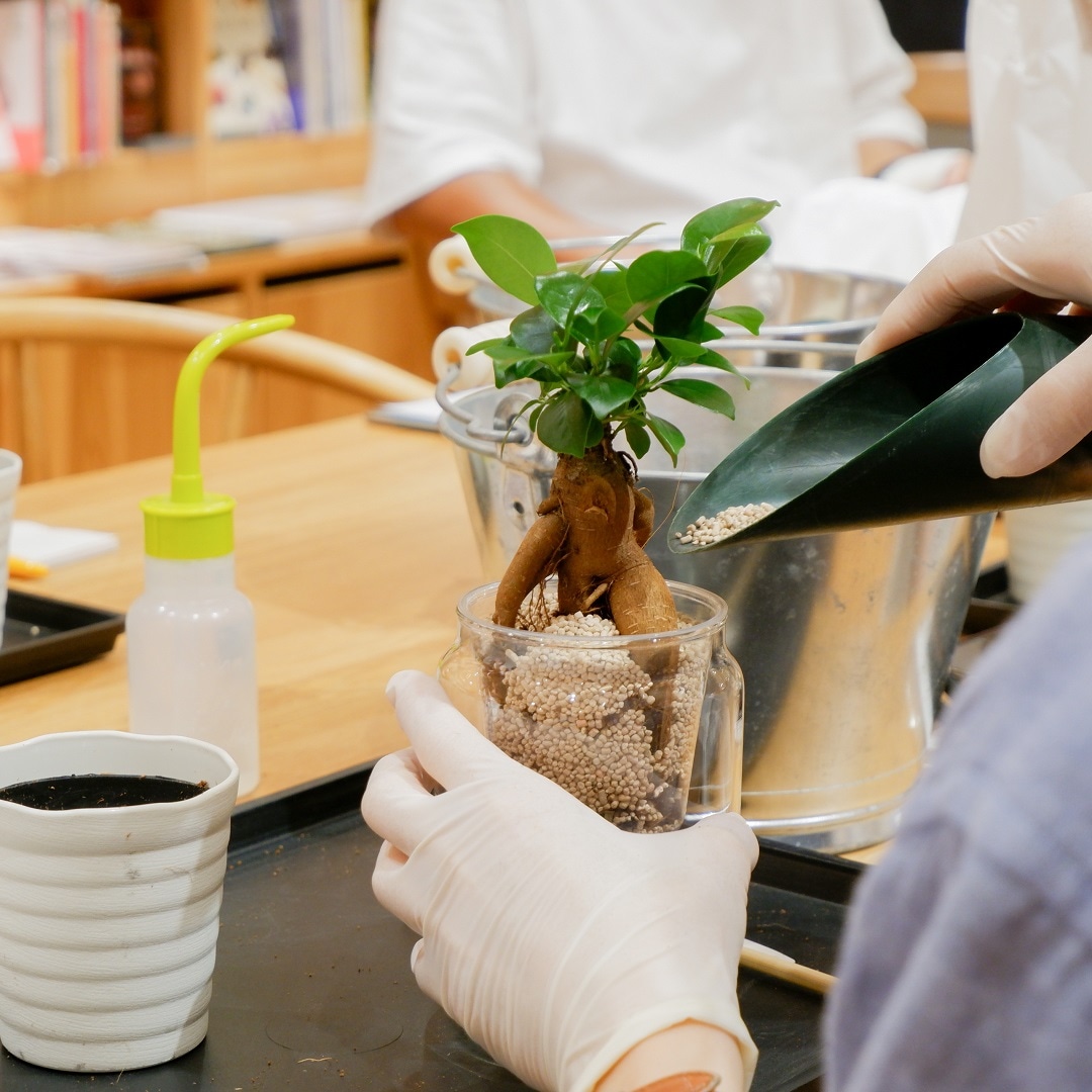 【京都山科】植物と上手にくらす｜イベントレポート