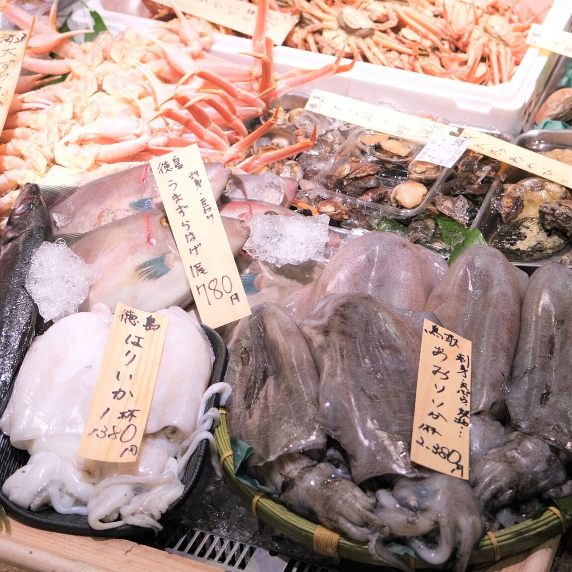 【堺北花田】今日のおすすめは『大ずわいがに』｜鮮魚売場から