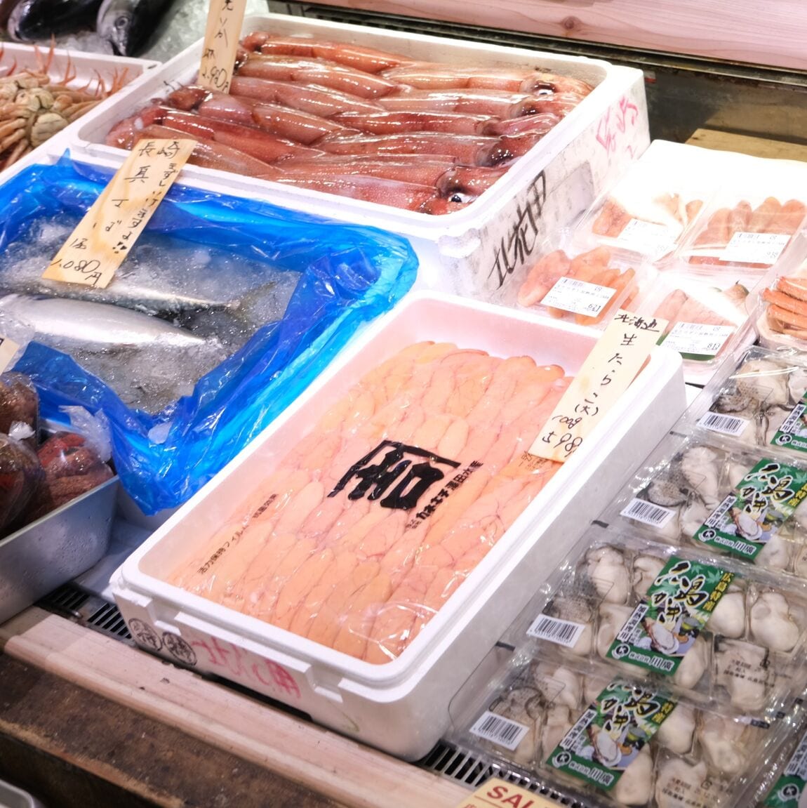 【堺北花田】今日のおすすめは『大ずわいがに』｜鮮魚売場から